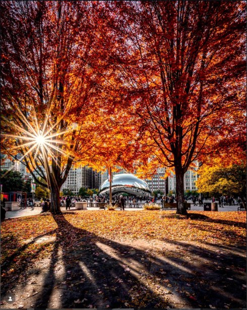 Photo by Danny Nguyen