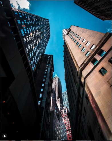 Photo by Danny Nguyen